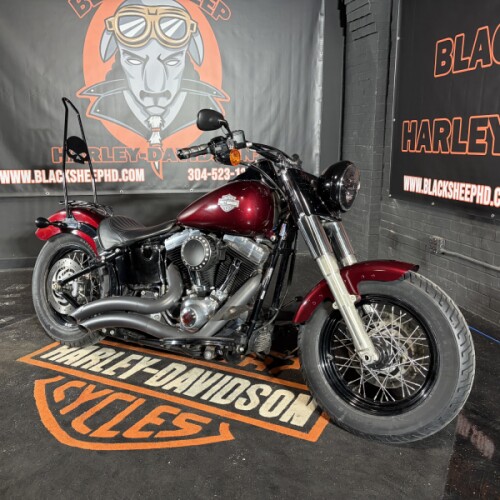 2014 Harley-Davidson® Softail Slim® FLS thumb 2