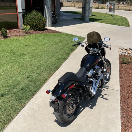 FXST 2023 Softail® Standard thumb 1