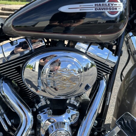 2004 Harley-Davidson® Heritage Softail® Classic Two-Tone Smokey Gold and Vivid Black thumb 2