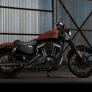 2017 Harley-Davidson® Iron 883™ thumb 3