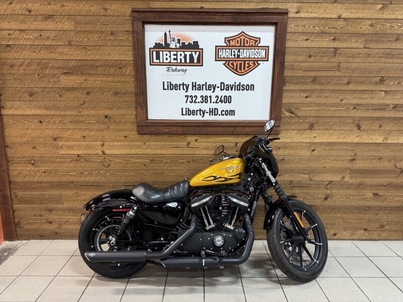 2016 Harley-Davidson® Iron 883™ Hard Candy Gold Flake  XL883N