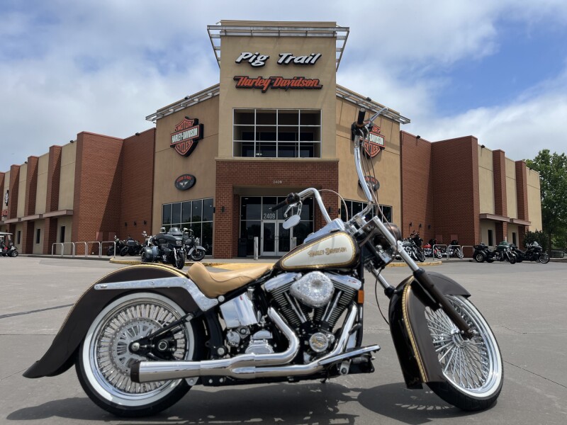 1996 HD FLSTC HERITAGE SOFTAIL VIOLET PEARL 018455