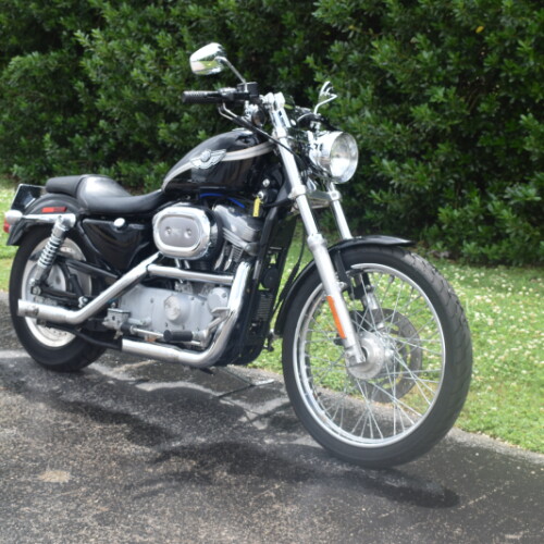 XL 883C 2003 Sportster® 883 Custom thumb 3