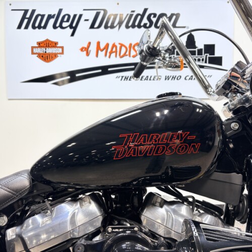 FXST 2023 Softail® Standard thumb 2