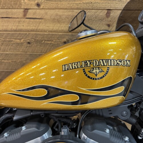 2016 Harley-Davidson® Iron 883™ Hard Candy Gold Flake  XL883N thumb 3