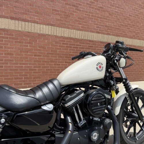 2022 Harley-Davidson® Iron 883™ White Sand Pearl thumb 0