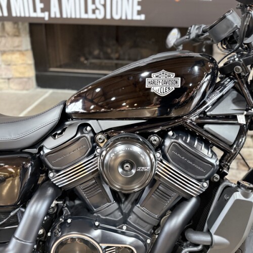 2026 RH975 - NIGHTSTER thumb 3