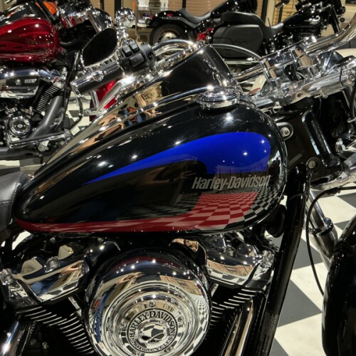 FXLR 2020 Low Rider® thumb 1