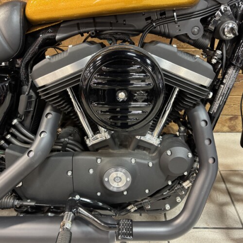 2016 Harley-Davidson® Iron 883™ Hard Candy Gold Flake  XL883N thumb 2