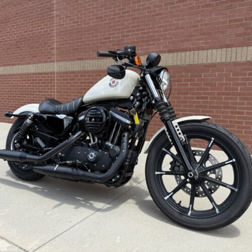 2022 Harley-Davidson® Iron 883™ White Sand Pearl thumb 3