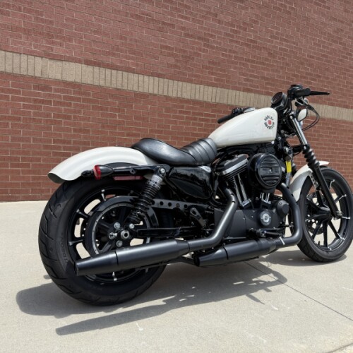 2022 Harley-Davidson® Iron 883™ White Sand Pearl thumb 2