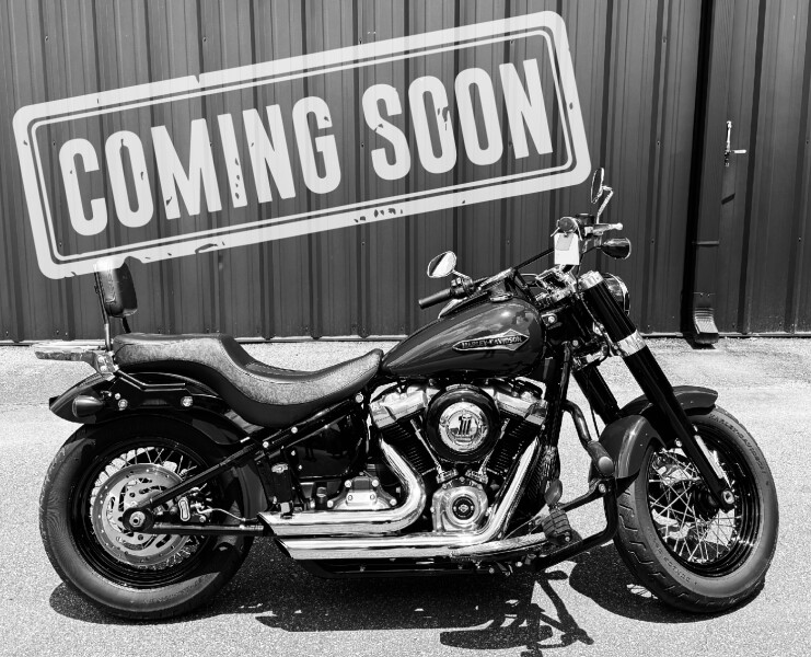 FLSL 2019 Softail Slim®