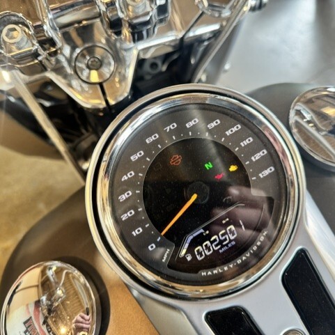  2019 Harley Davidson Fat Boy 114 FLFBS thumb 1