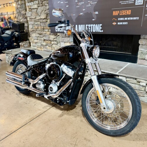 2020 FXST - Softail Standard  thumb 3