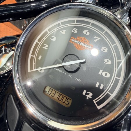 2017 Harley-Davidson Softail Slim FLS103 thumb 0