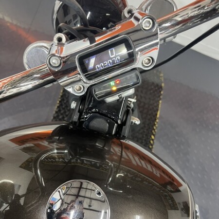 2024 Harley-Davidson® Softail™ Standard | Pre-Owned Cruiser Motorcycle thumb 1