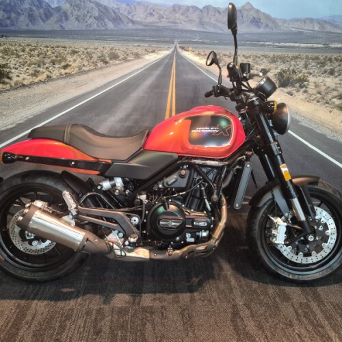 2024 Harley-Davidson® Harley-Davidson X™ 500 Dynamic Orange thumb 3