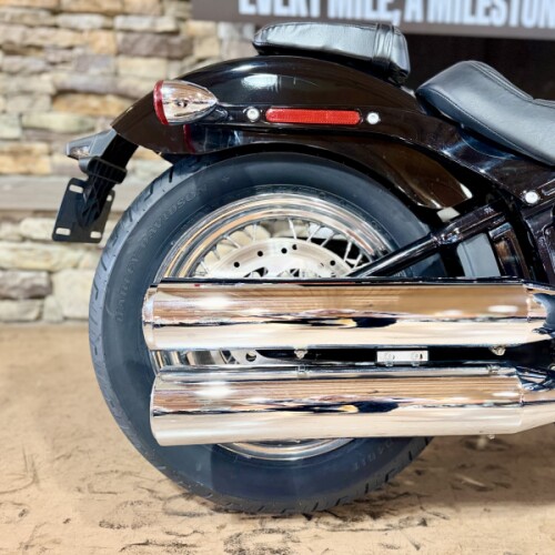 2020 FXST - Softail Standard  thumb 0