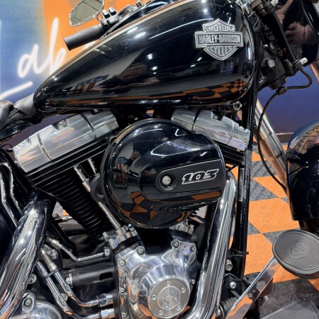 2017 Harley-Davidson Softail Slim FLS103 thumb 3