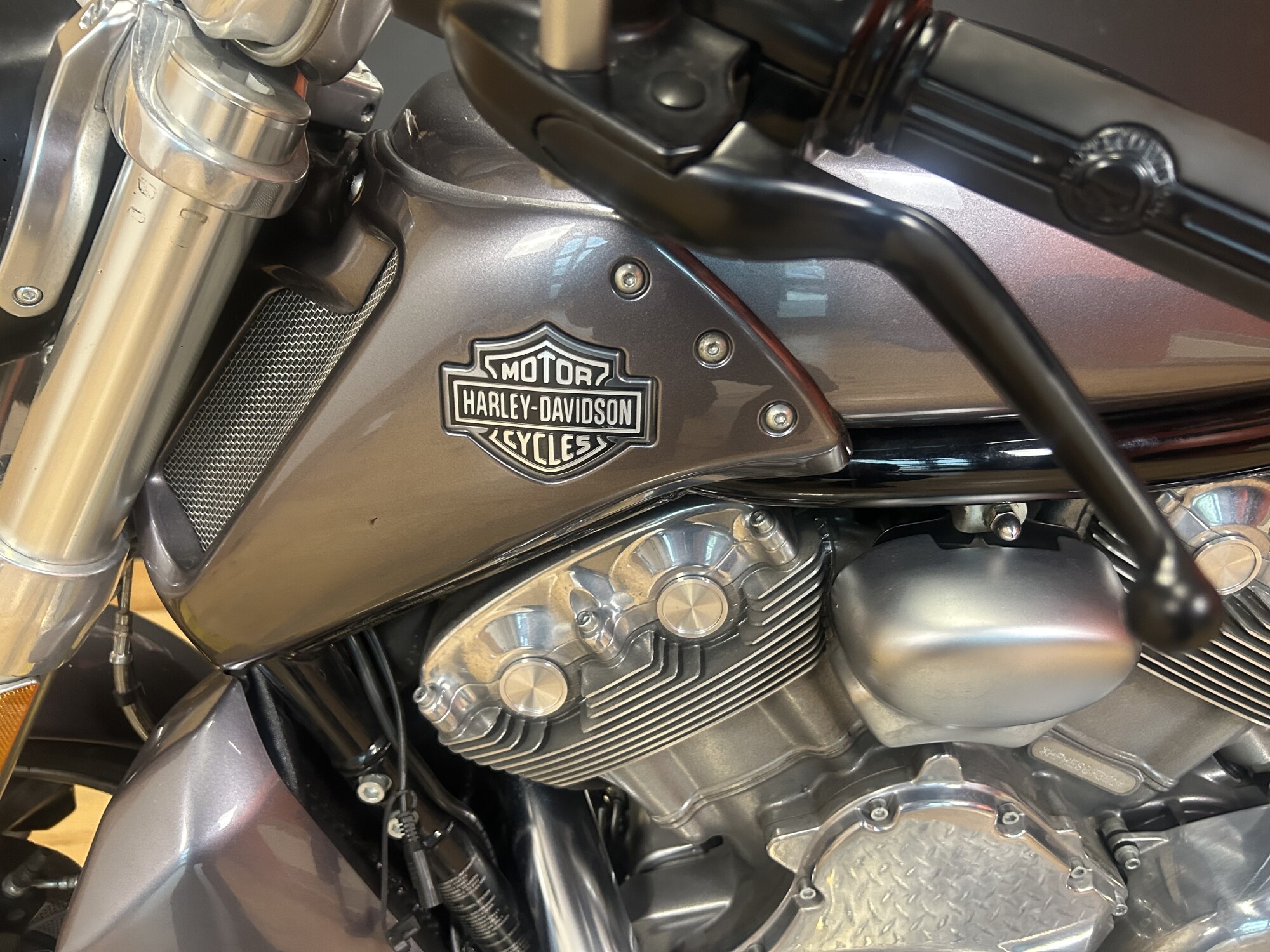VRSCF 2014 V-Rod Muscle®, photo 6
