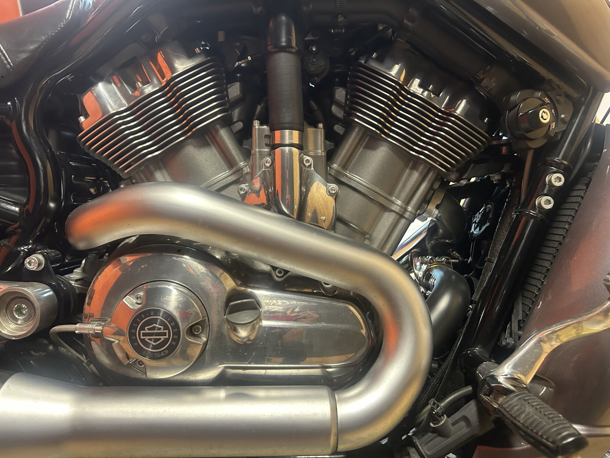 VRSCF 2014 V-Rod Muscle®, photo 7