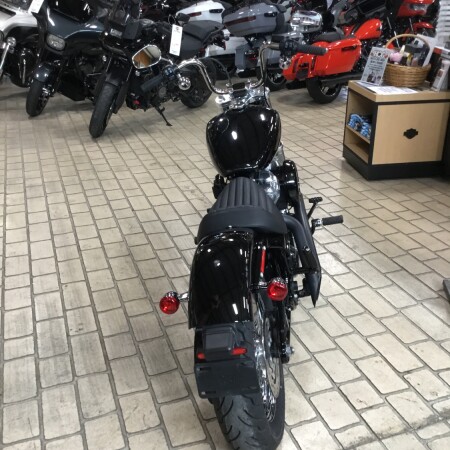 2020 Harley-Davidson® Softail Standard® Vivid Black thumb 1