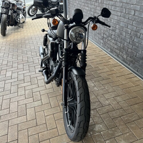 2021 Harley-Davidson® Iron 883™ Black Denim thumb 0