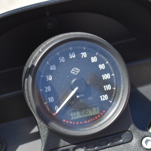 2019 Harley-Davidson® Iron 1200™ XL 1200NS thumb 3