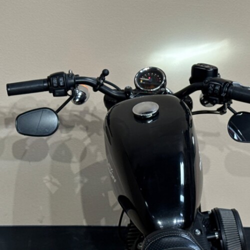 XL1200R 2019 Roadster™ thumb 1