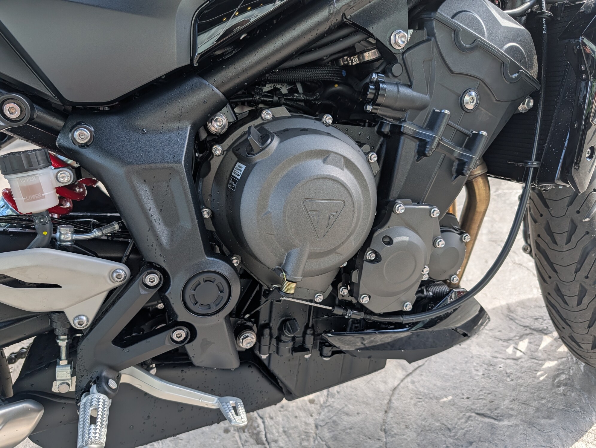 2026 Triumph Trident 800 Jet Black, photo 11
