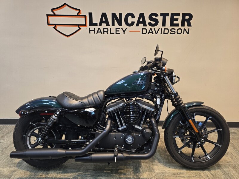 2021 Harley-Davidson® Iron 883™ Snake Venom XL883N