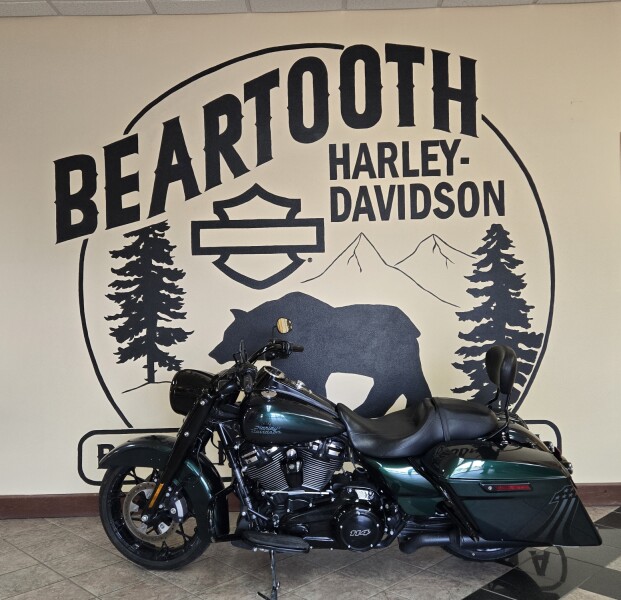 2022 Harley-Davidson® Road King® Special Snake Venom - Black Finish