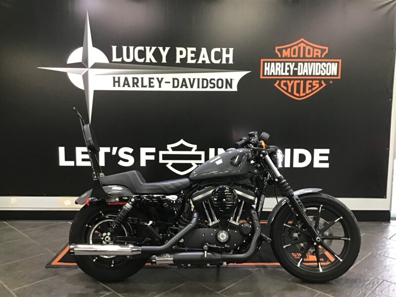 2022 Harley-Davidson® Iron 883™ Gunship Gray