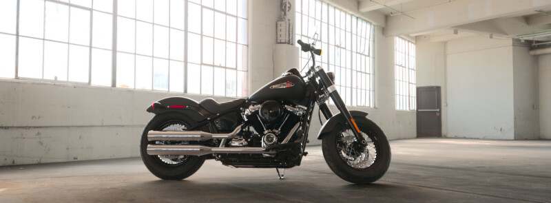 FLSL 2019 Softail Slim®