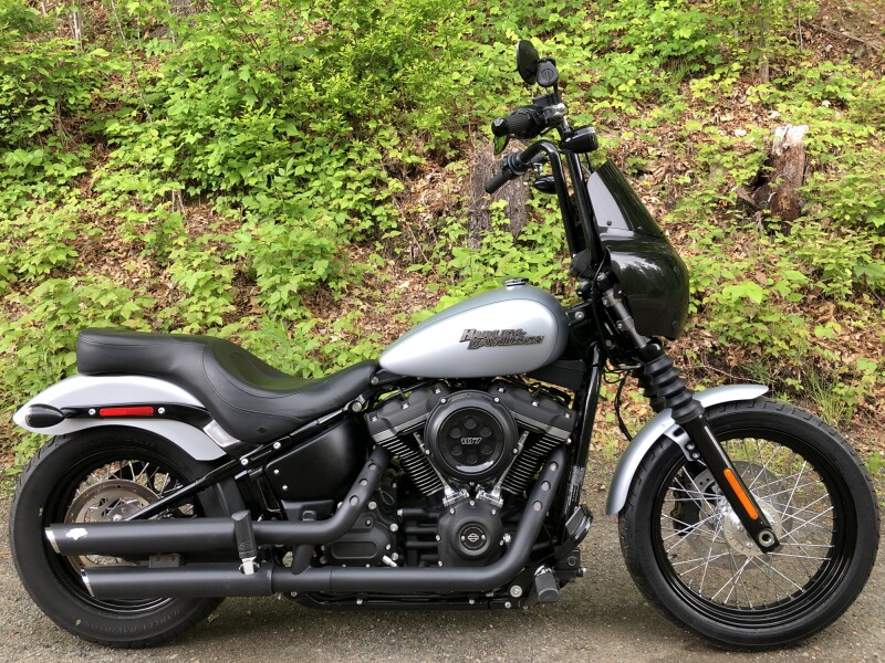 2020 Harley-Davidson® Street Bob® Barracuda Silver Denim