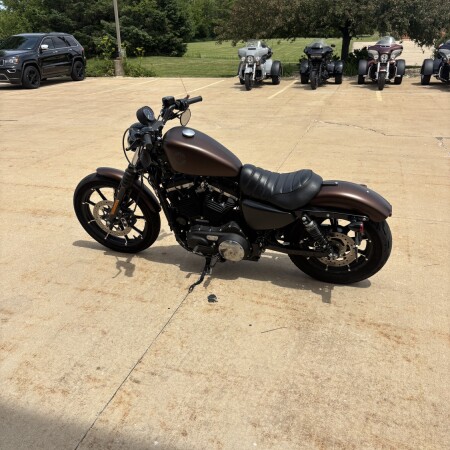 2019 Harley-Davidson® Iron 883™ Rawhide Denim thumb 1