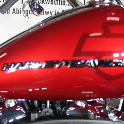 2025 Breakout™ FXBR  thumb 1