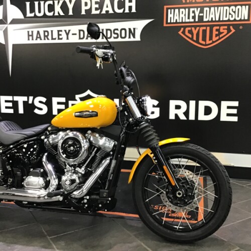 2025 Harley-Davidson® Street Bob® Centerline w/Laced Wheels thumb 3