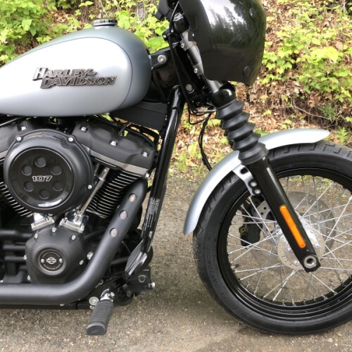 2020 Harley-Davidson® Street Bob® Barracuda Silver Denim thumb 3