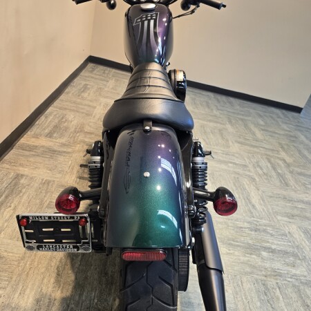 2021 Harley-Davidson® Iron 883™ Snake Venom XL883N thumb 2