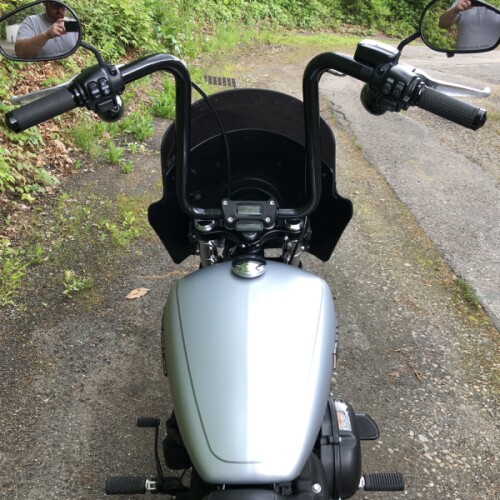 2020 Harley-Davidson® Street Bob® Barracuda Silver Denim thumb 0