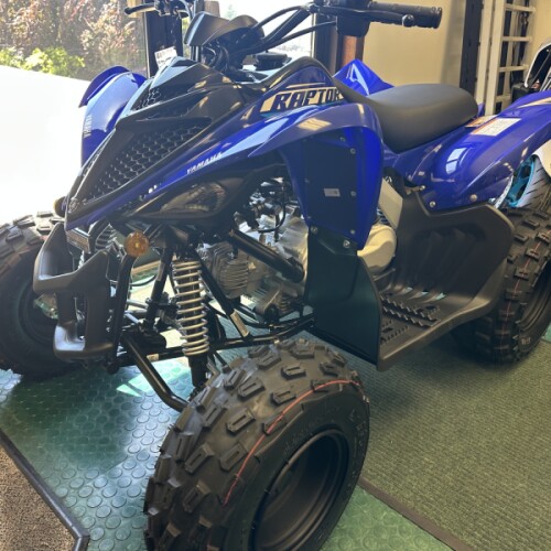 2026 Yamaha Raptor 110 Team Yamaha Blue thumb 3