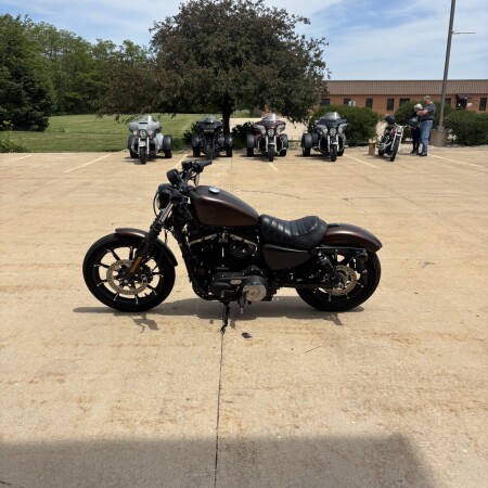2019 Harley-Davidson® Iron 883™ Rawhide Denim thumb 0