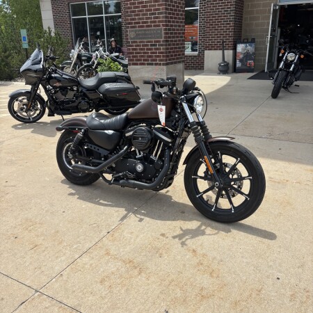 2019 Harley-Davidson® Iron 883™ Rawhide Denim thumb 3