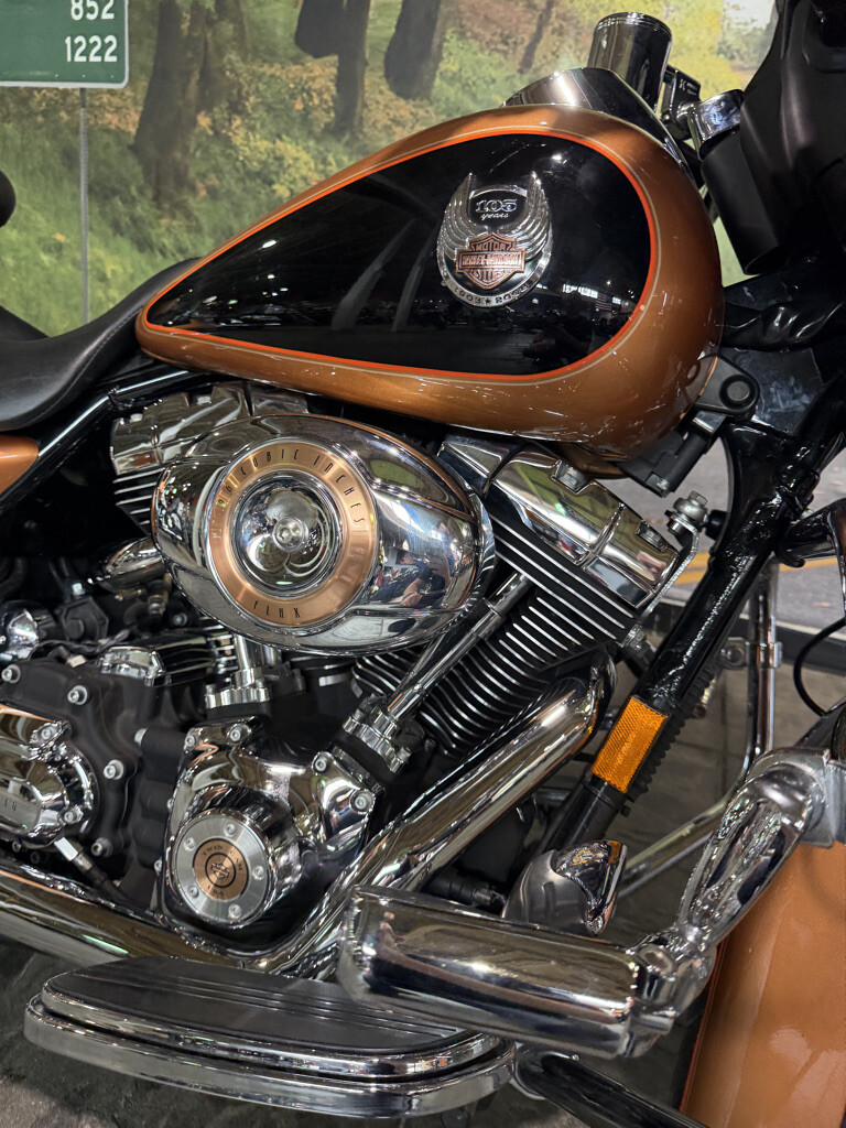 2008 Harley-Davidson® Street Glide® No Gimmick's, No Hidden Fees, photo 5