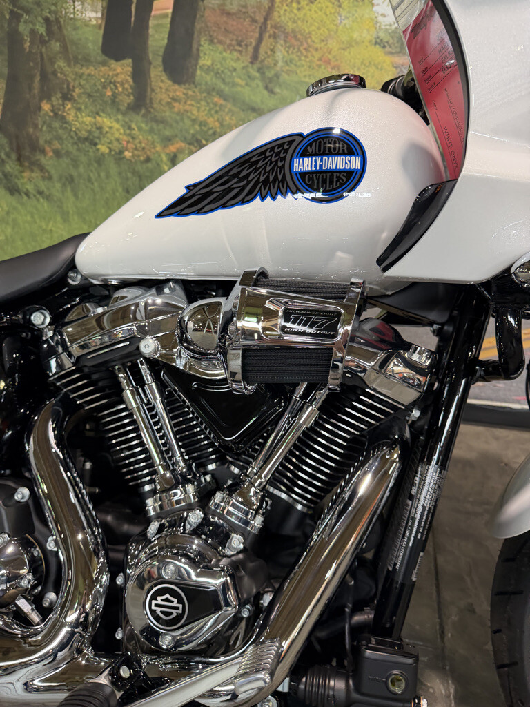 2026 Harley-Davidson® Low Rider® ST No Gimmicks, No Hidden Fees, photo 3