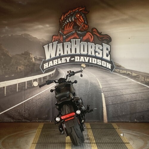 RH1250S 2022 Sportster® S thumb 2