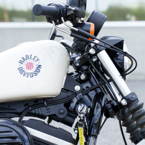 XL 883N 2022 Iron 883™ thumb 2