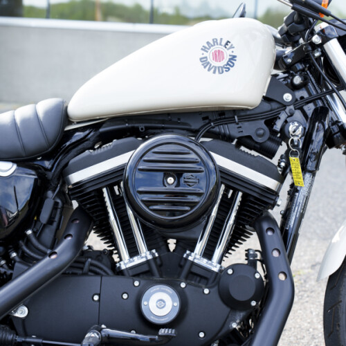 XL 883N 2022 Iron 883™ thumb 1