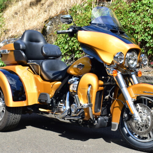2023 Harley-Davidson® Tri Glide® Ultra Prospect Gold/Vivid Black thumb 2